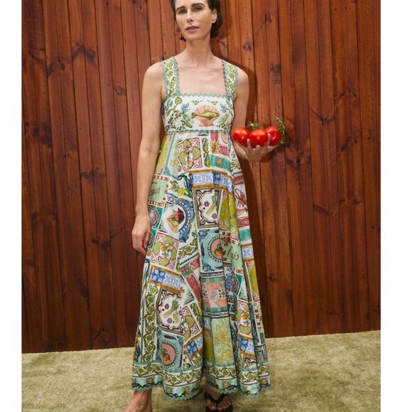 Alemais tommasina summer midi dress - Picture 1 of 15